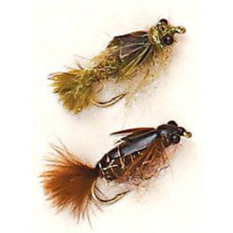 Mono Nymph Eyes