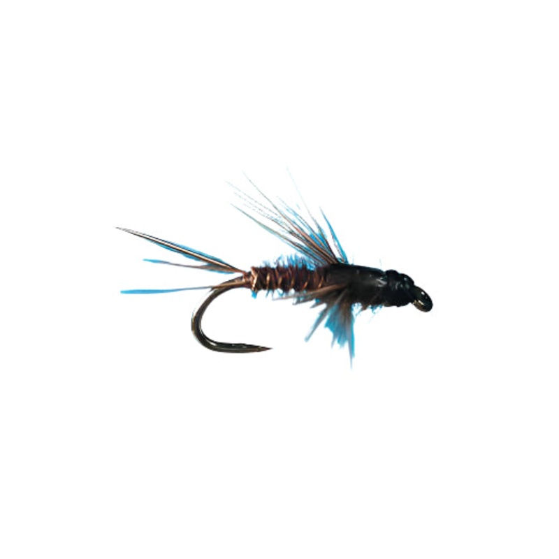 Morris Bead Head Anatomical Bwo
