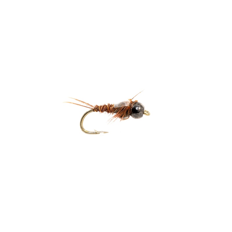 Morris Bead Head Anatomical Pmd