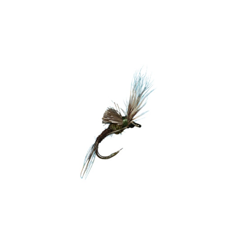 Morris May Emerger – Bwo