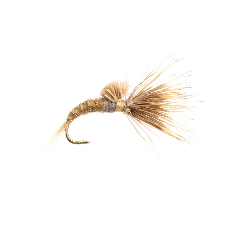 Morris May Emerger – Callibaetis
