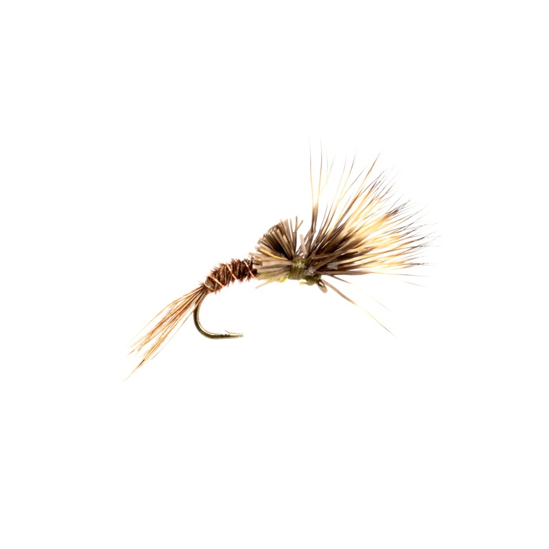 Morris May Emerger – Pmd