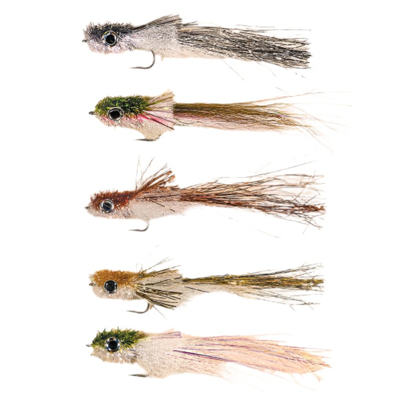 Murdich Minnow
