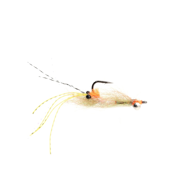 Enrico Puglisi Spawning Shrimp
