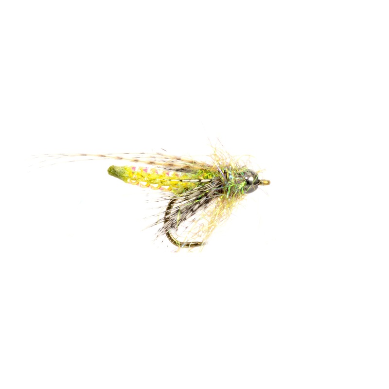 Nitro Caddis Pupa