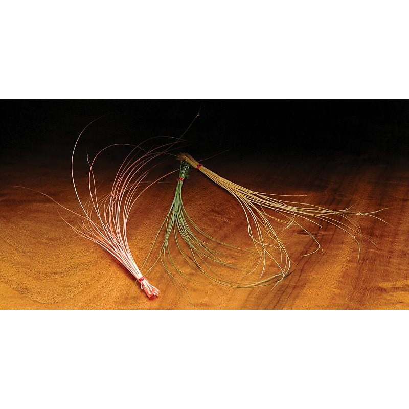 Quill Body