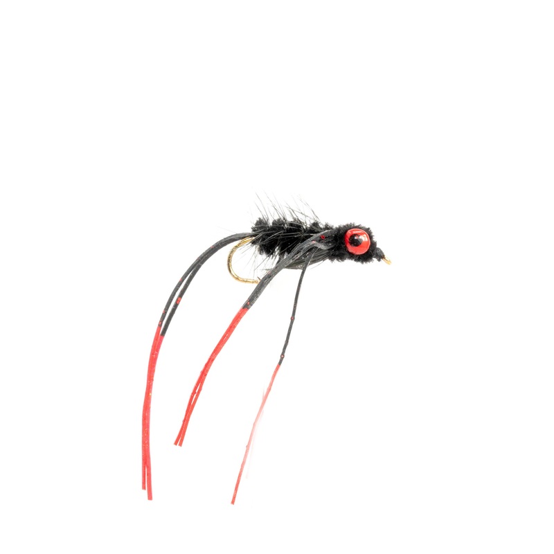 Rainys Carp Tease
