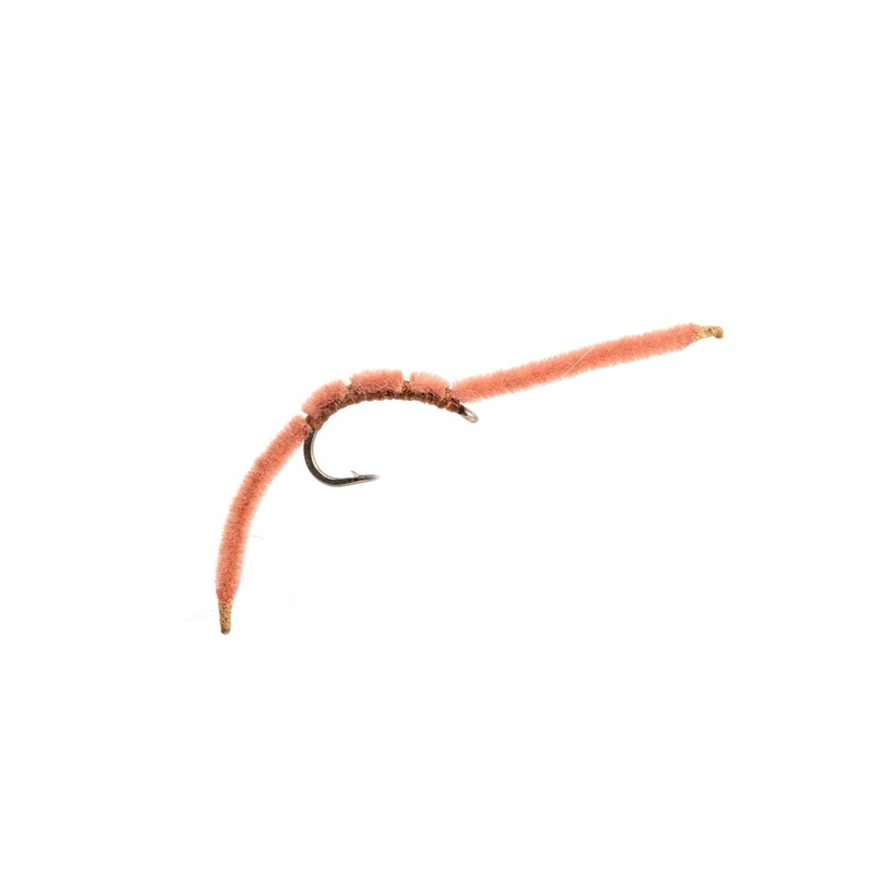 San Juan Worm