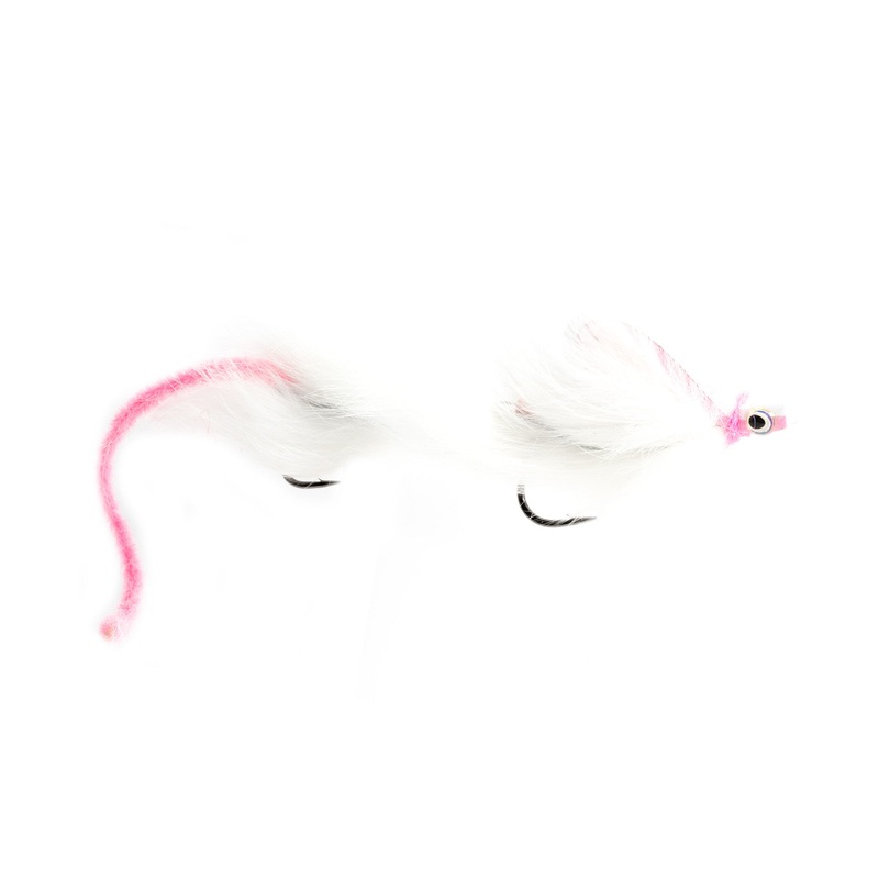 Satowski’s Quasimodo Mouse