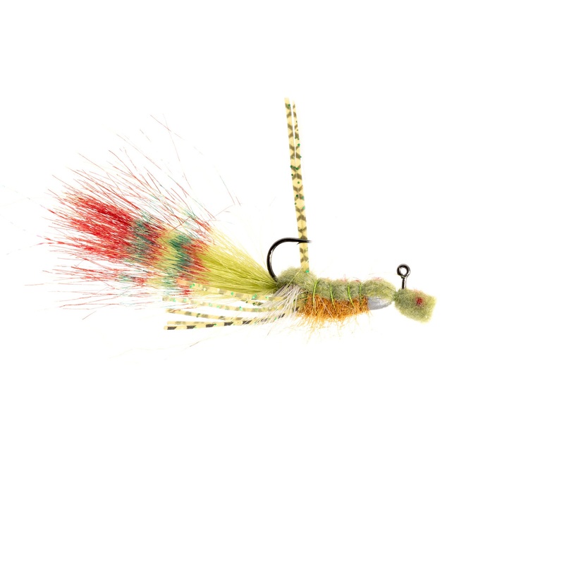 Schiels Sugar Daddy Craw