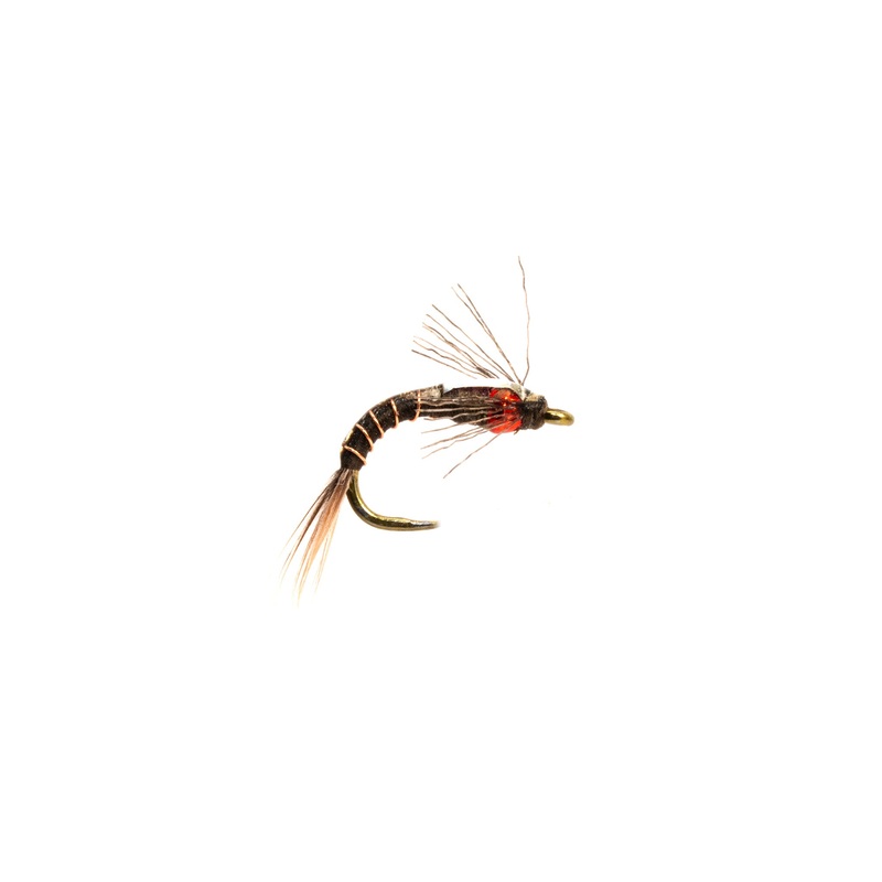 Shotglass Baetis