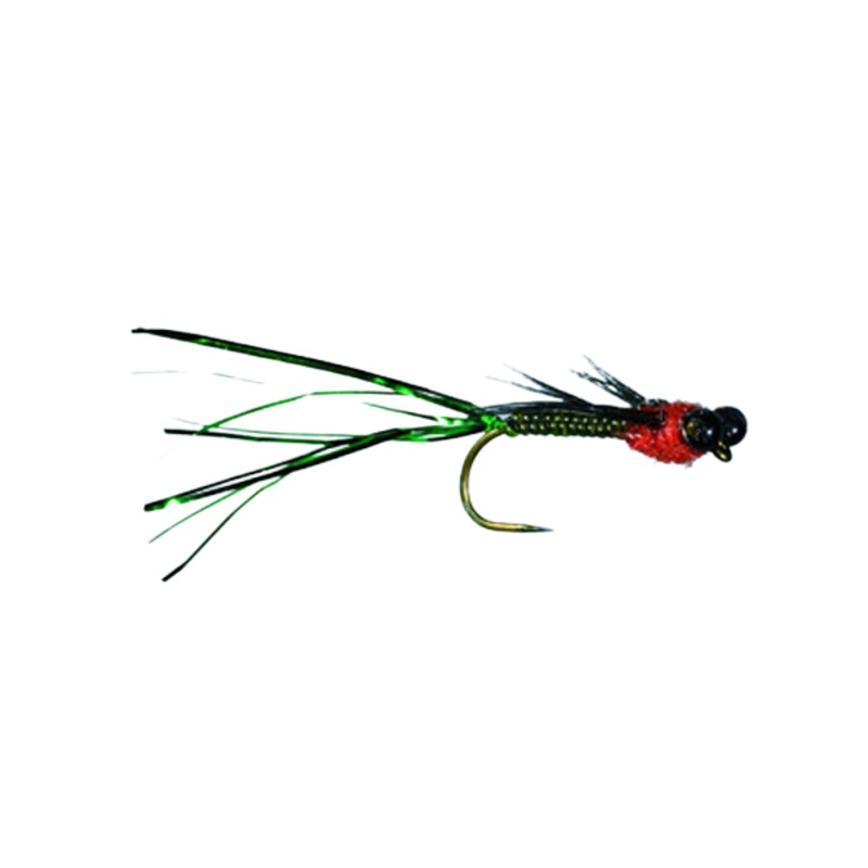 Hutchin’s Flashabou Damsel
