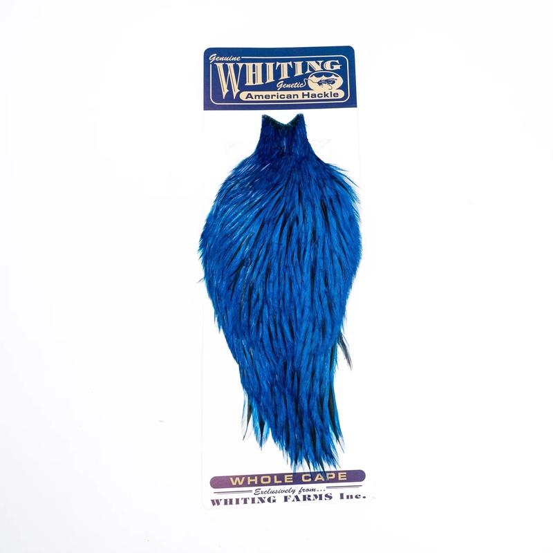 Whiting American Rooster Capes