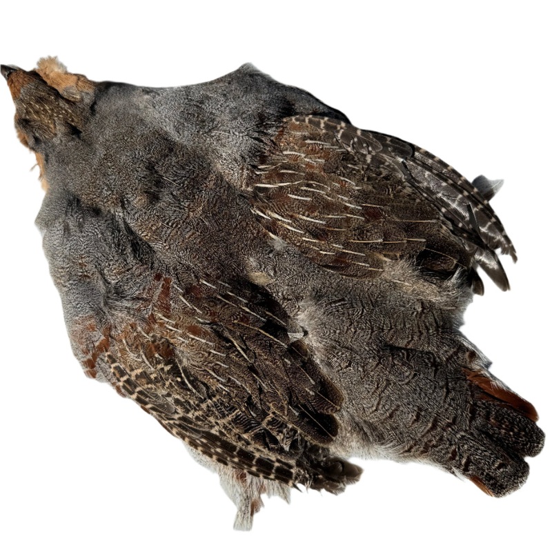 Wild Hungarian Partridge Skins – Grade-1