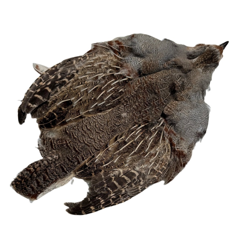 Wild Hungarian Partridge Skins – Grade-2