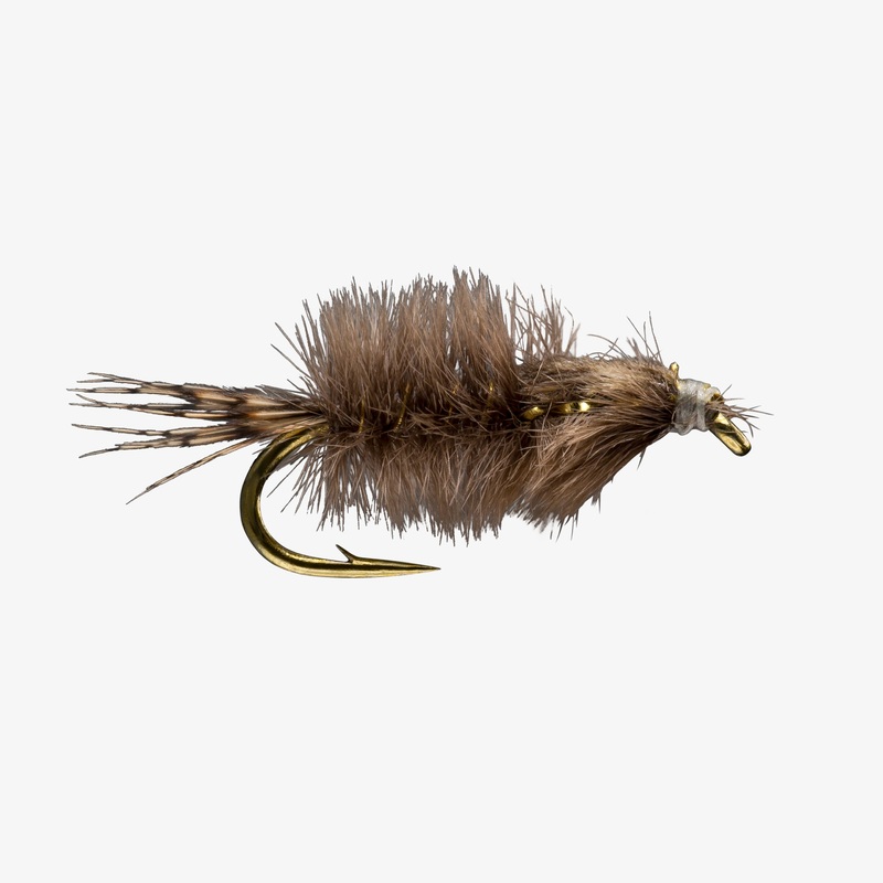 Callibaetis Nymph
