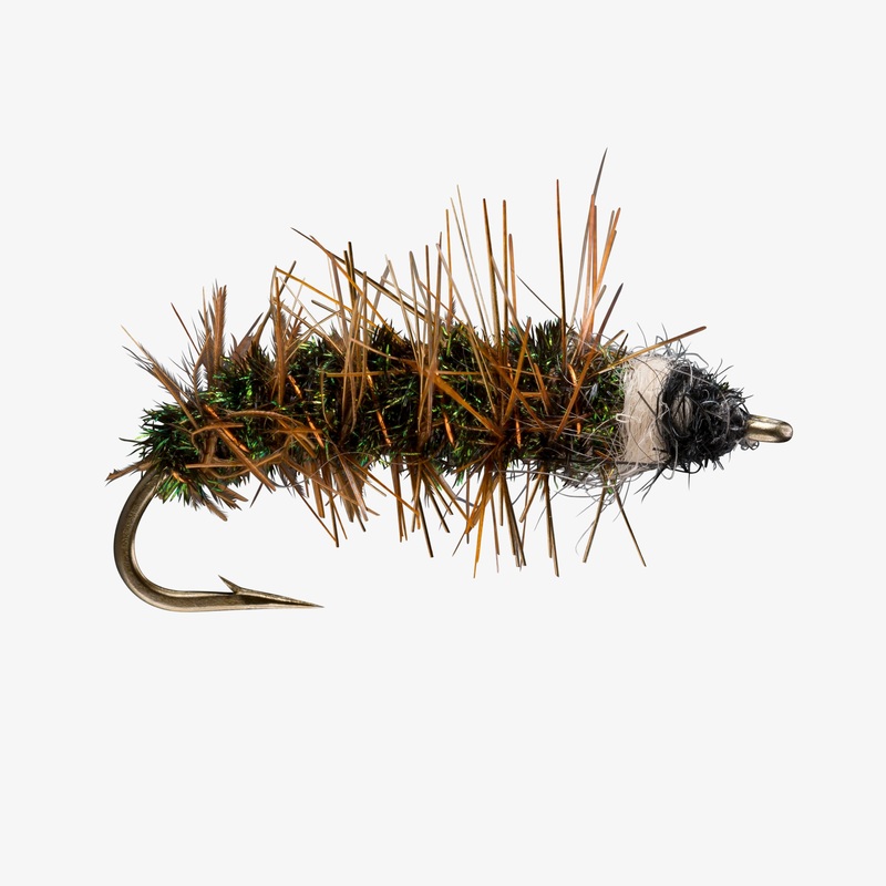 Cased Caddis