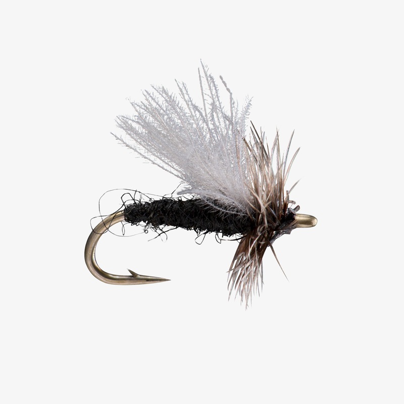 CDC Midge Adult