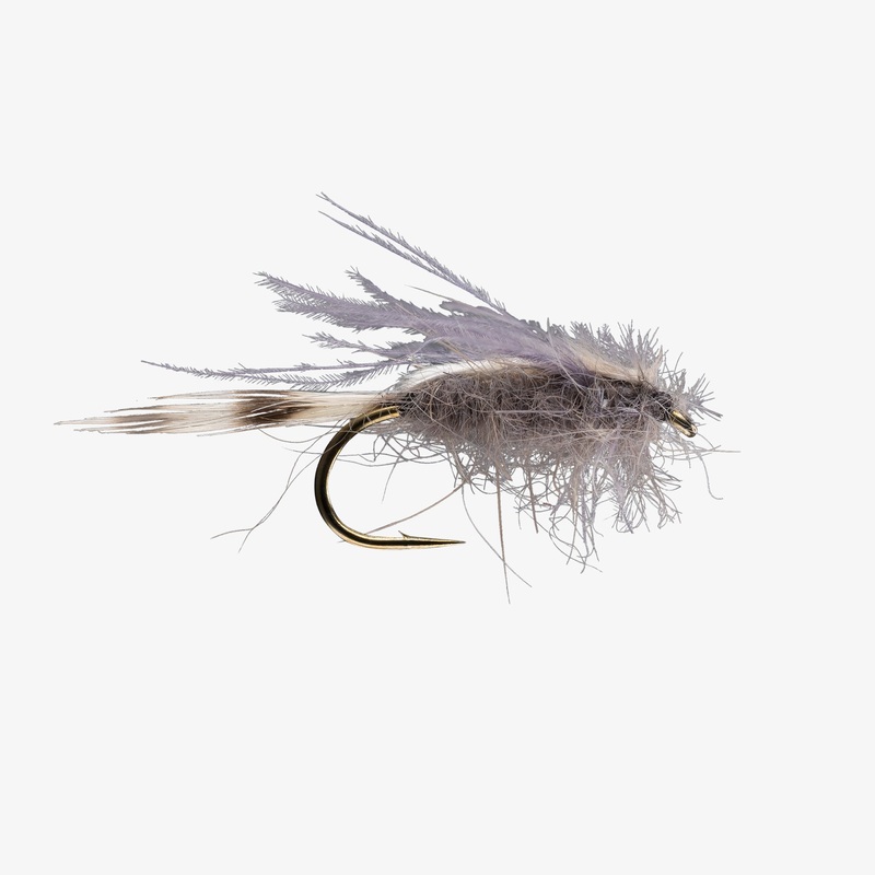 CDC Transiton Midge