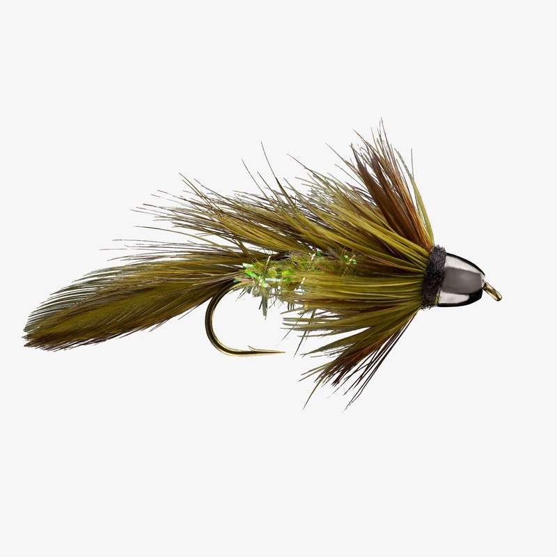 CH Olive Blossom Special