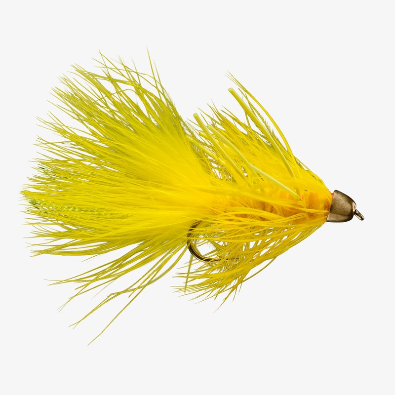 CH RL Bugger Yellow Yummy