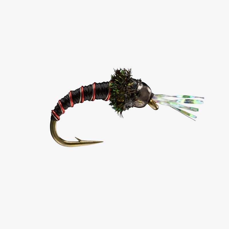 Double Rib Chironomid