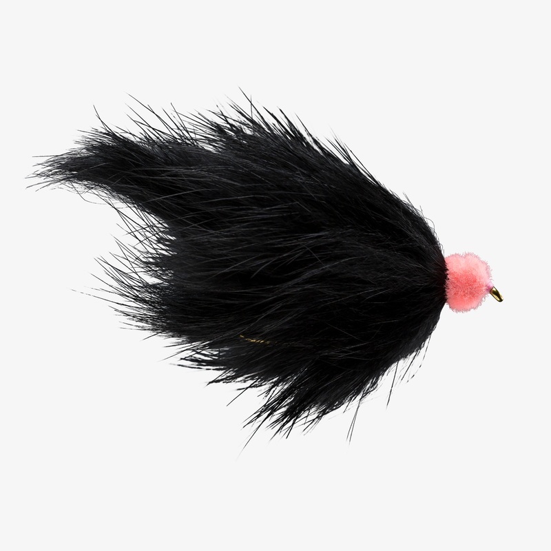 Egg Sucking Leech