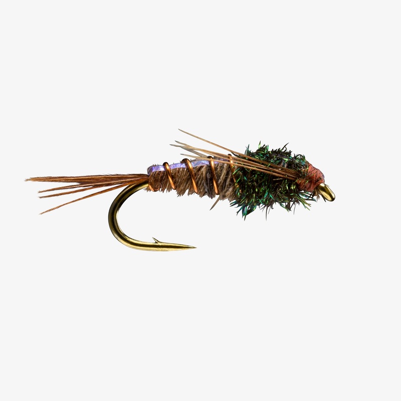 Pheasant Tail Flashback