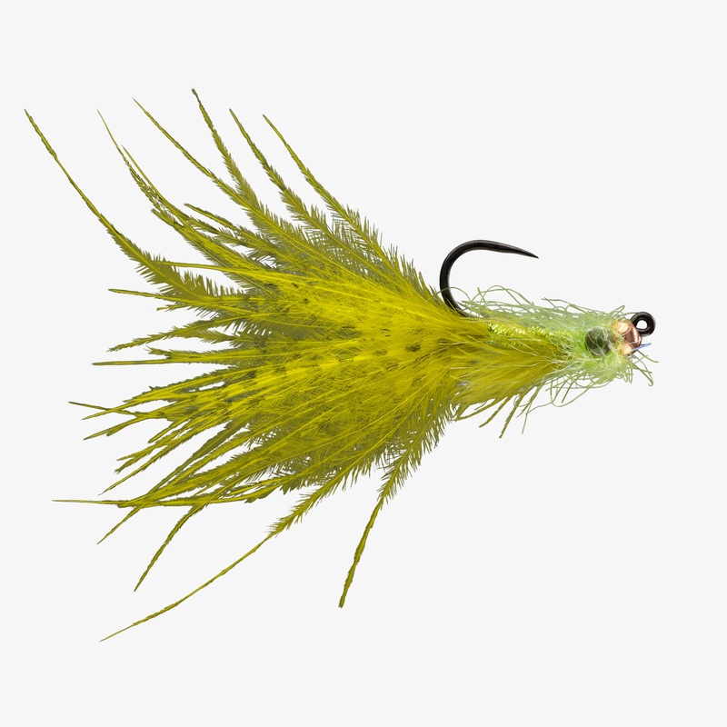 RIO’s Buttercup TB