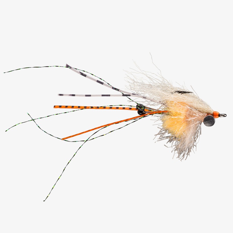RIO’s Carpet Shrimp