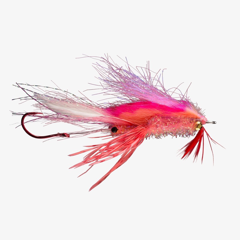 RIO’s Ghostbuster Shrimp