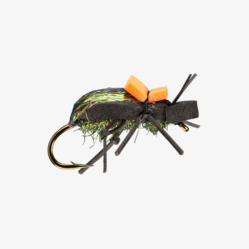 RIO’s Ground Beetle