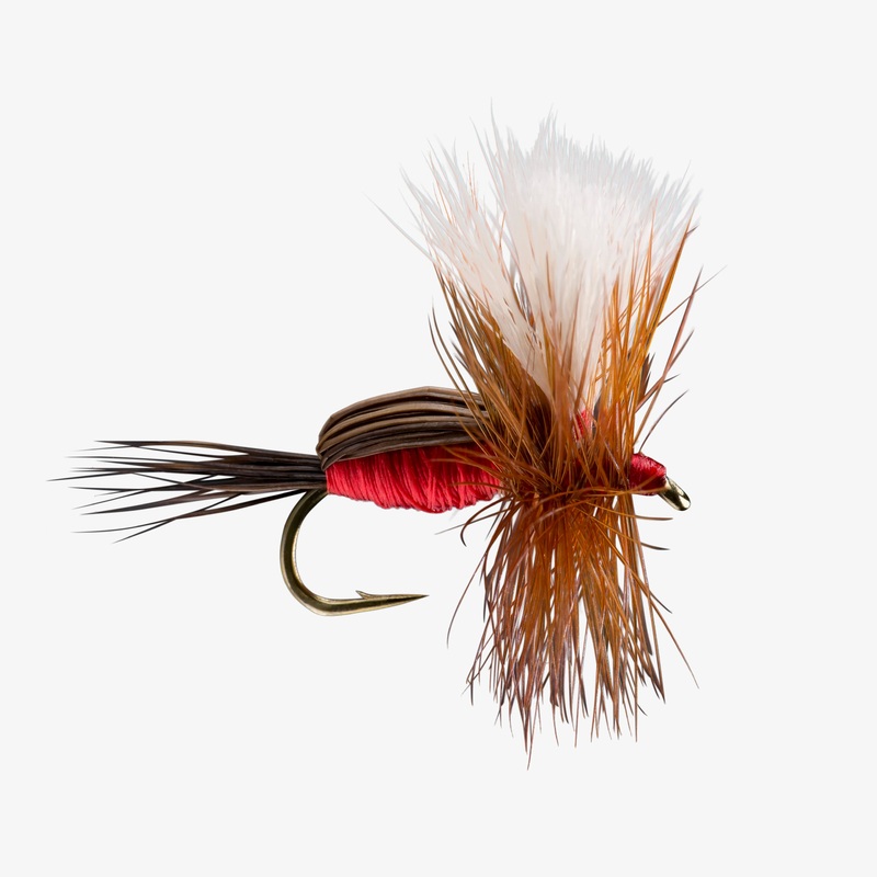 Royal Humpy