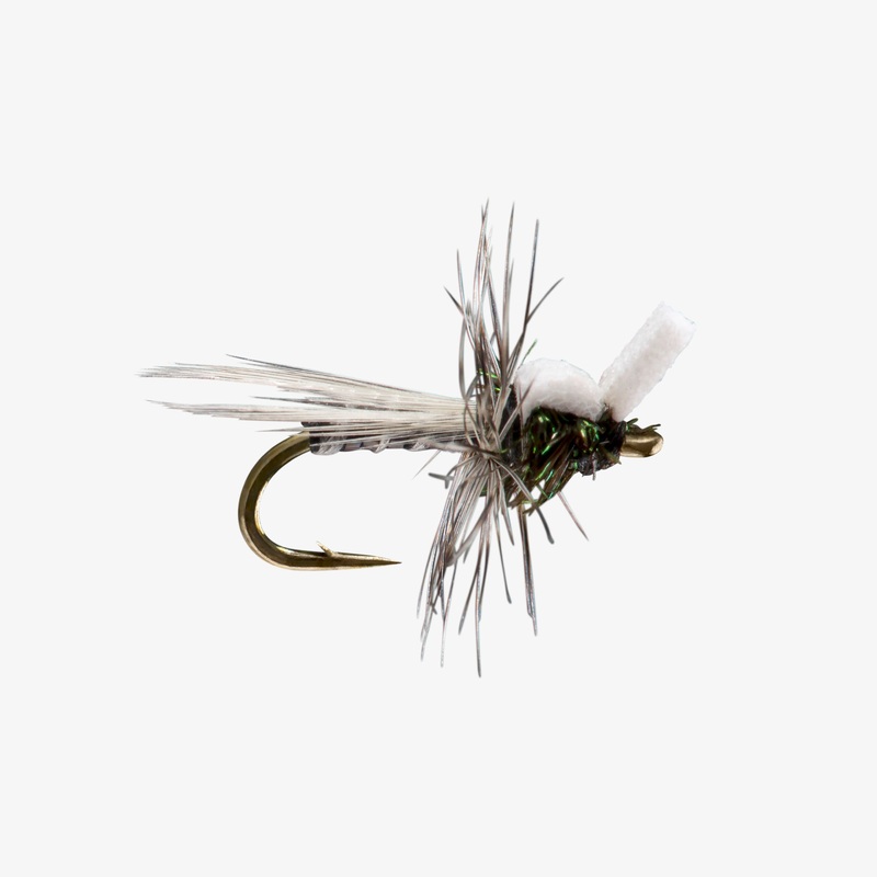 Stillborn Midge