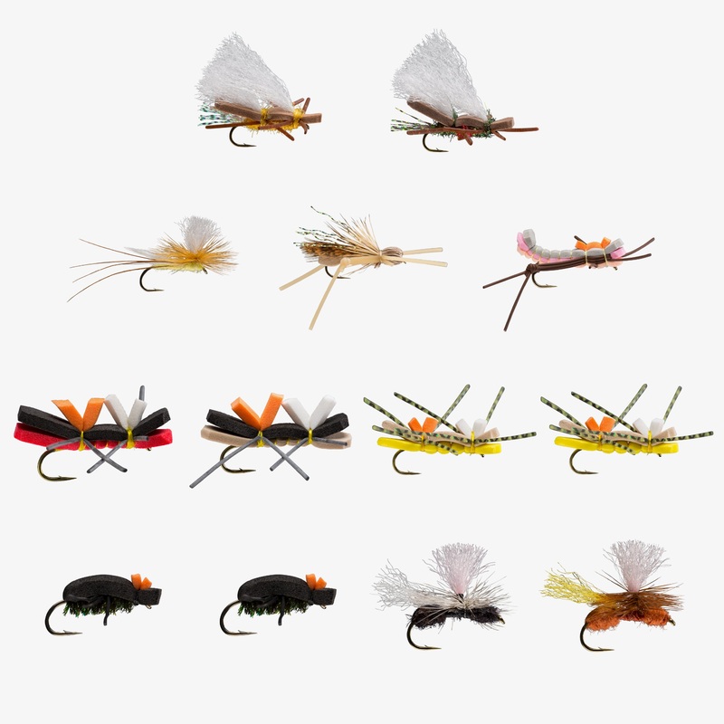Terrestrial Assortment