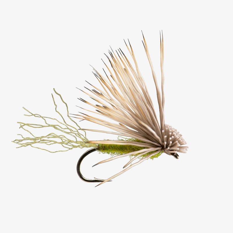 X-Caddis