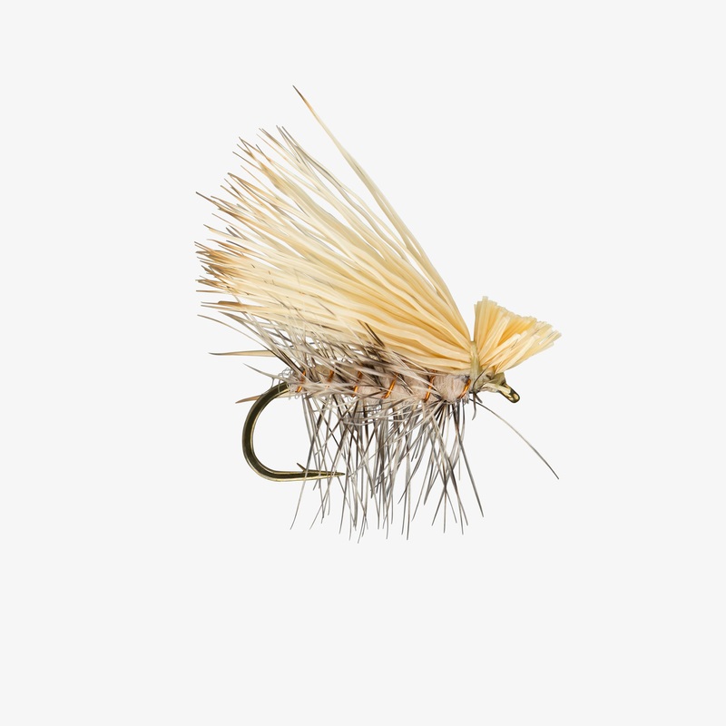 Elk Hair Spruce Moth
