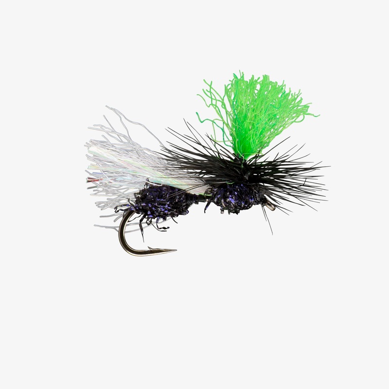 Hi-Vis Flying Ant
