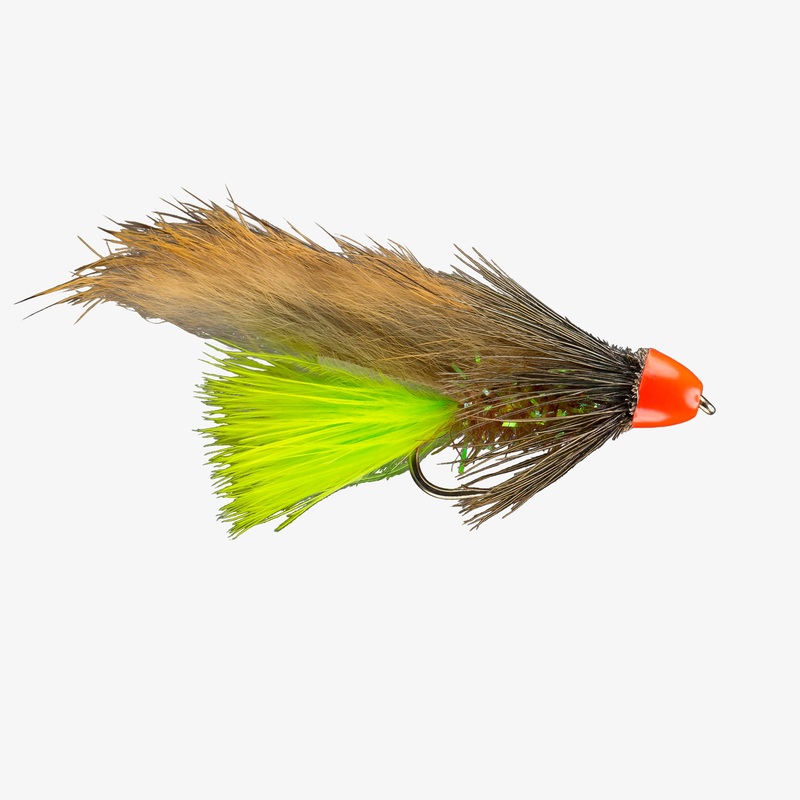Hot Head Leech