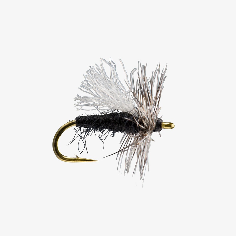 Midge Adult