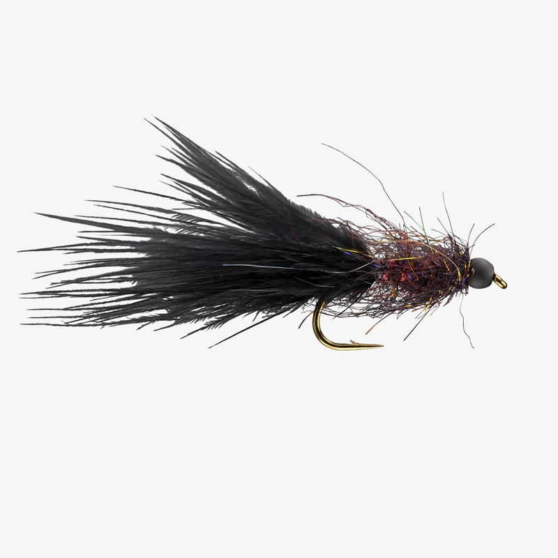 RIO’s Jelly Leech