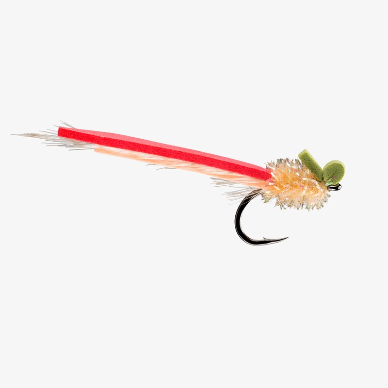 RIO’s Palolo Slider