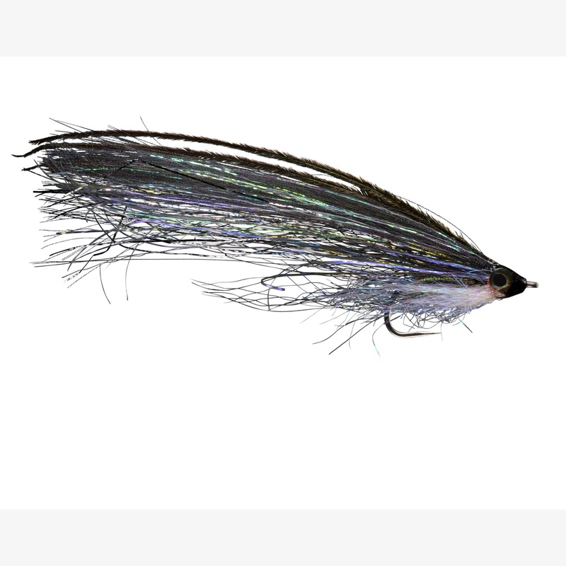 RIO’s Pipe  Eel