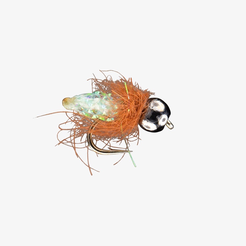 RIO’s Pupa Scoopa TB