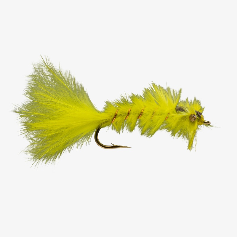 Damsel Nymph