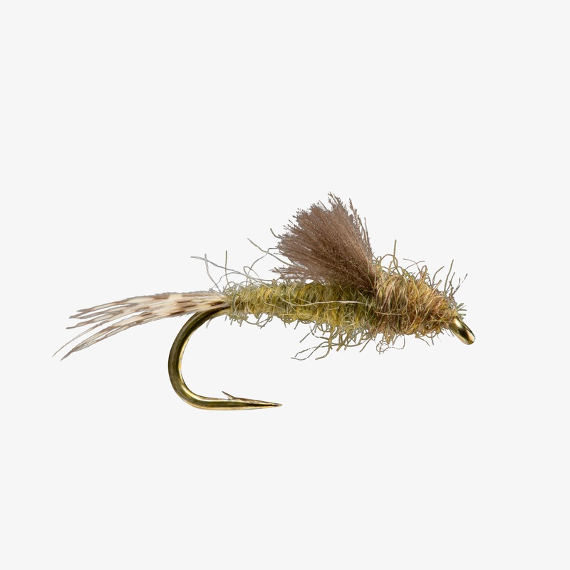 Floating Nymph