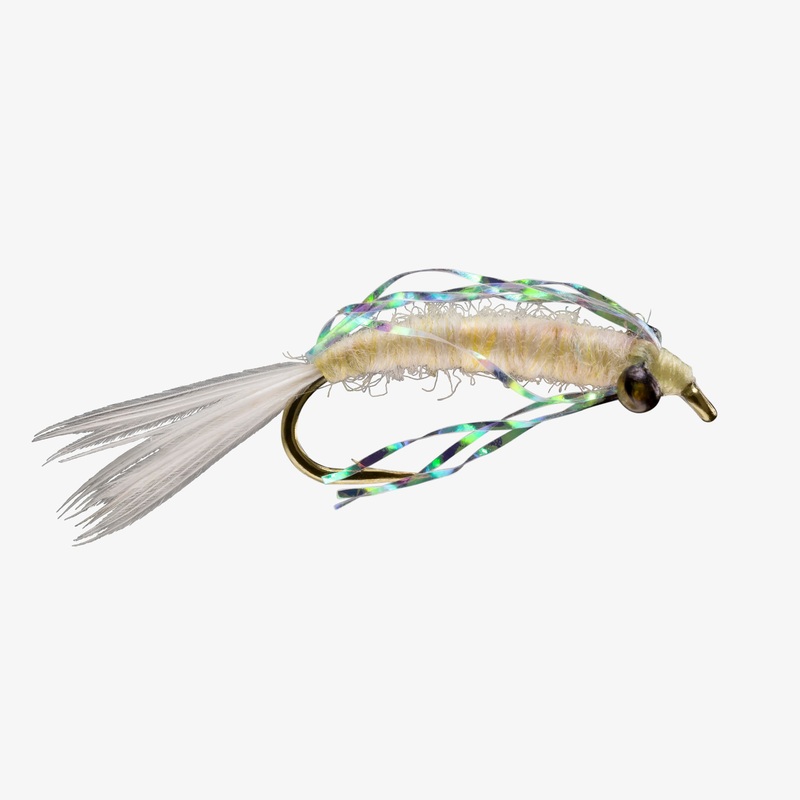 Mysis Shrimp