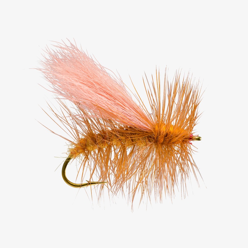 Norm Wood Special