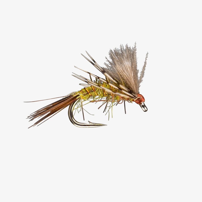 Puff Nymph