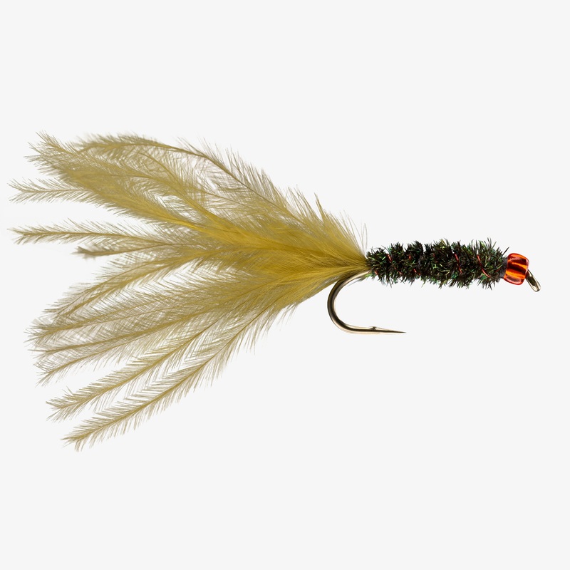 Red Head Leech